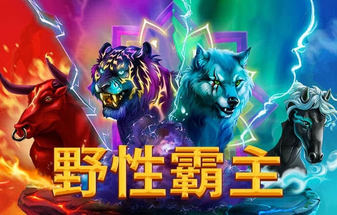 ng体育app最新版